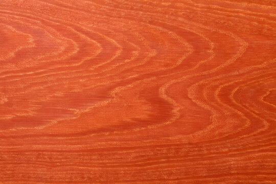 Exotic padauk wood texture background seamless reddish orange brown wooden panel pattern backdrop for luxury interior design and premium furniture visualization