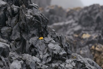 Fototapeta premium Intimate Detail of Jagged Basalt Rock Formation with Yellow Lichen