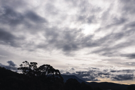 moody grey sky with sun flare over tasmanian mountains and eucalyptus trees