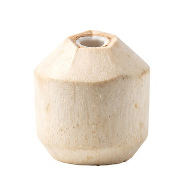 Peeled young coconut trimmed shell isolated front view