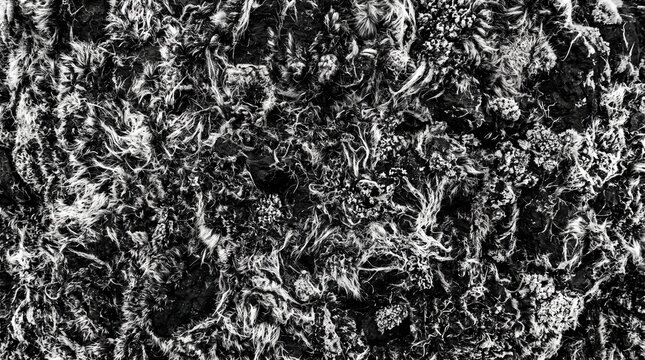 fuzzy basalt stone texture background in black and white
