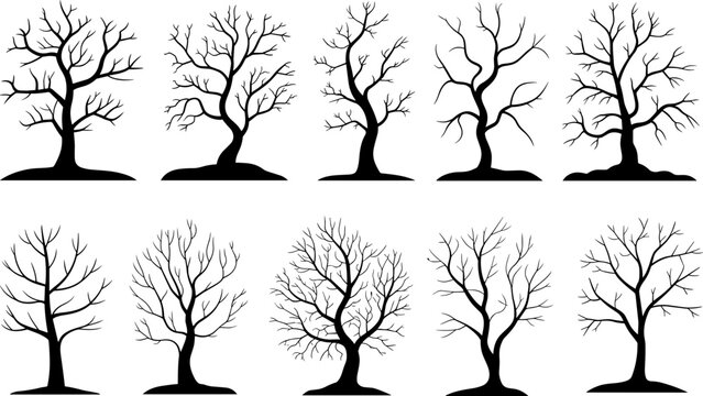 Bare deciduous trees in silhouette against a white background representing winter or dormancy