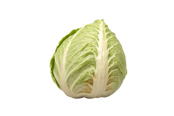 Fototapeta premium Round pale green lettuce head