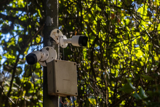 Security Cameras Mounted on a Pole in a Park Covered by Green Leaves and Nature in Brazil. Outdoor CCTV surveillance system with two bullet cameras installed on a metal pole 