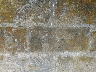 Fototapeta premium Weathered concrete block wall covered with green and brown moss texture
