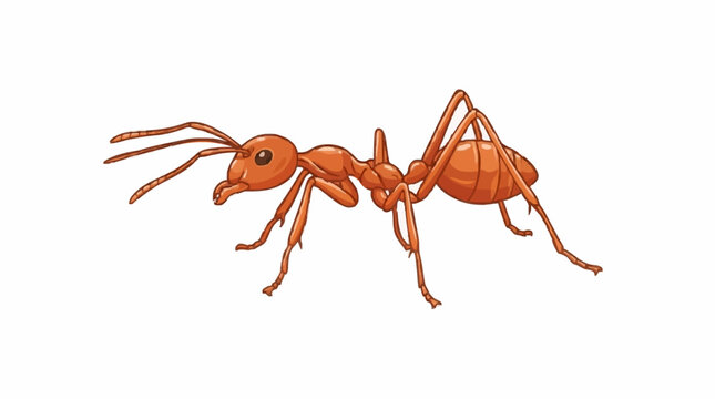 Detailed Vector Illustration of a Red Ant Insect Isolated on White Background
