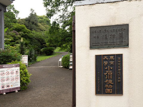 小石川植物園の正面入り口。2026年7月、東京都文京区にて撮影。