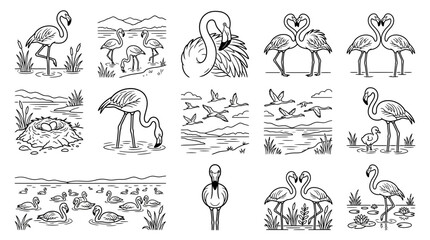 Obraz premium Flamingo Illustration Collection Line Art Vector Graphics of Birds in Various Poses and Environments