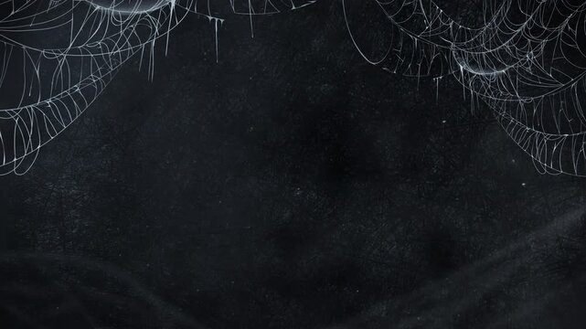 Spooky Spider Web Frame on Dark  for Halloween Horror Movie Film Scary Trailer Titles Cinematic Openers Intro background