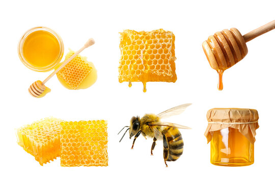 Set. Natural honey in various forms highlights its diverse appeal, PNG