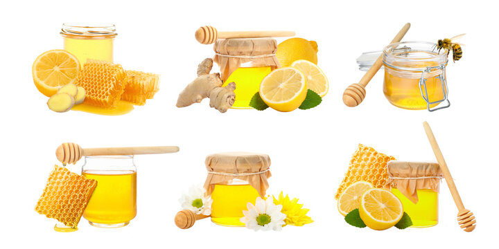 Set. Various honey products are artistically arranged with fresh fruits and herbs, PNG