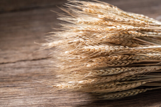 A bundle of mature dried wheat stalks rests on a textured rustic wooden surface, showcasing natural harvest elements.
