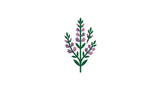 Vertical purple flower stalk with green leaves.
