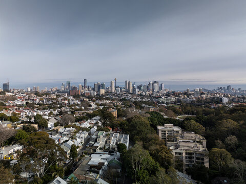 Paddington aerial view of Sydney CBD showing architecture and nature