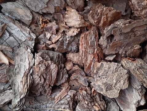 Top view of brown pine tree bark pieces chips for garden mulching texture background, dry wooden bark mulch for landscaping design or natural rustic backdrop.