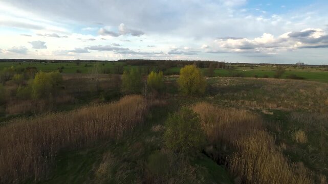 High angle aerial view descending forward over tall wild grasses, before smoothly flying low through a gap in the deciduous green trees across an open country field under a cloudy sky.