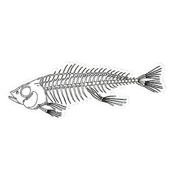 Fish Skeleton Bone Sticker Line Art Illustration