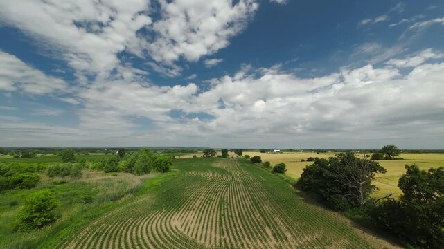 Wide aerial view ascending and tracking over vast agricultural farmlands to reveal lush green corn rows, golden wheat fields, soybeans and an expansive cloudy blue sky with barns in Ontario.