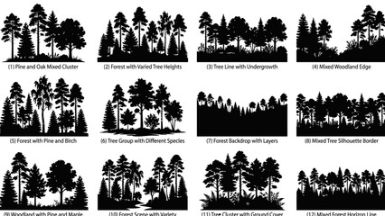 Fototapeta premium Vector illustration of mixed forest tree silhouettes with pine oak birch and maple varieties