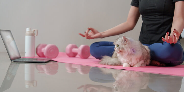 Cropped woman meditating on yoga mat with cat and laptop for online mindfulness class