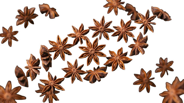 Star anise spice isolated on transparent background