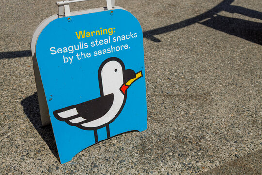 A blue sandwich board sign on Granville Island cautions visitors with a cartoon gull that seagulls steal snacks by the seashore.