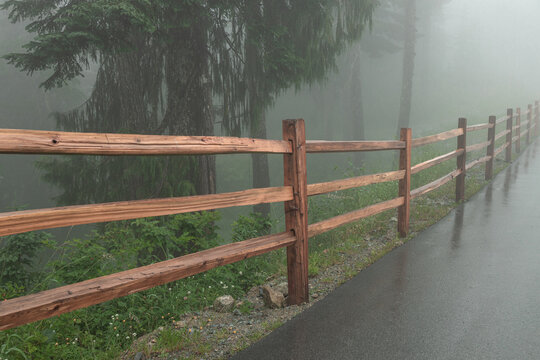 A weathered split-rail wooden fence lines a wet paved path through a misty coastal mountain forest, with tall evergreens fading into thick summer fog.