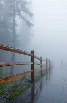 A solitary hooded hiker walks a wet paved trail into thick fog on Grouse Mountain, following a wooden split-rail fence past evergreens fading into the grey mist.