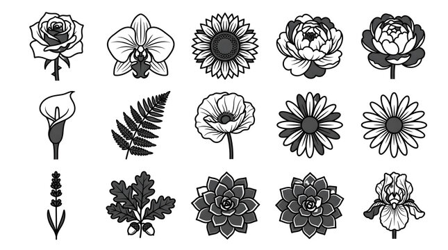 Floral line art icons set with various flowers and leaves vector illustration