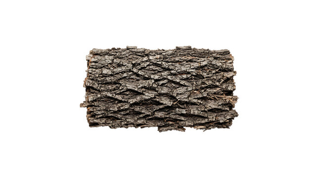 Rough tree bark piece isolated on transparent background, cutout wood texture element for natural design, PNG forestry asset.