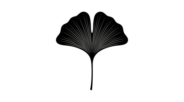 Minimalist ginkgo biloba leaf silhouette, black botanical fan leaf icon on white background, elegant nature element for logo design