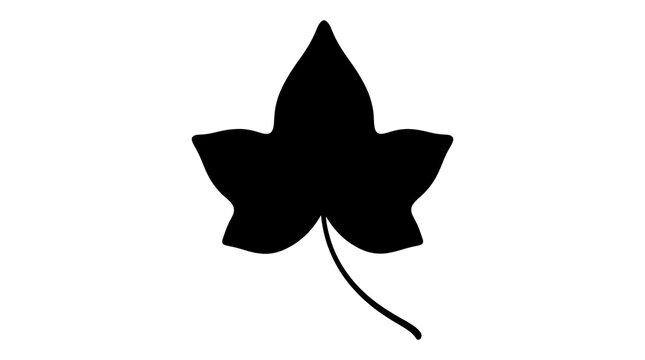 Minimalist ivy leaf silhouette, black botanical foliage icon on white background, simple plant leaf shape for nature design