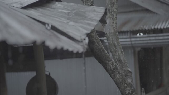 raining,zinc home,old home