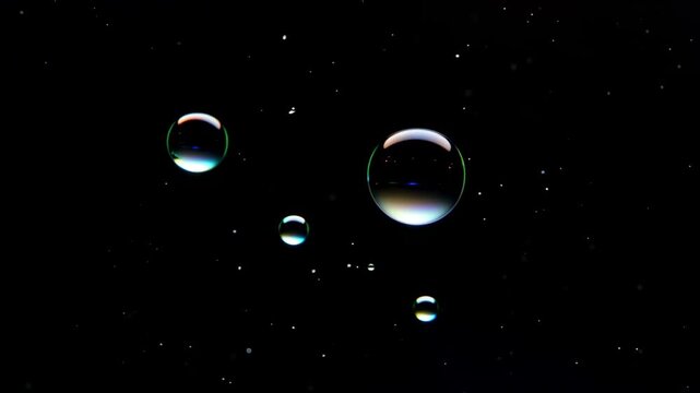 Microscopic view of swimming microorganisms in dark field