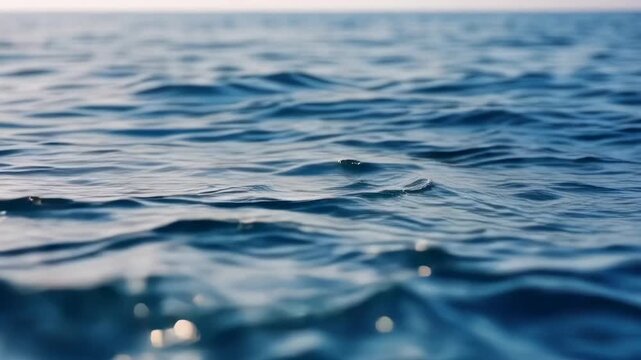 Underwater waves and marine life in ocean currents