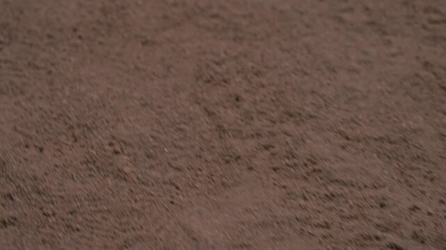 Close up texture of dry, cracked sandy desert ground.