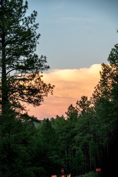 a view in Prescott Arizona