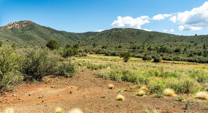 a view in Prescott Arizona