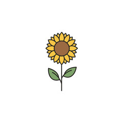Fototapeta premium Minimalist hand drawn sunflower illustration vector graphic