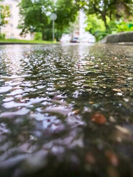 rainy street with puddles on wet asphalt and blurred trees on background. low angle view.