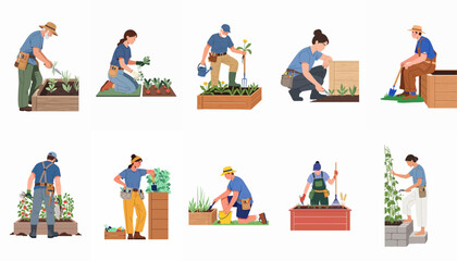 Fototapeta premium Set of diverse people gardening in raised beds and planters, flat vector illustration.