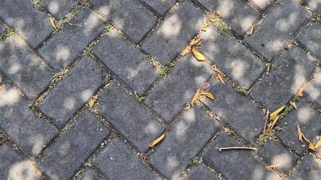 Top Down View of Paving Block Surface with Dappled Sunlight and Tree Shadows Motion