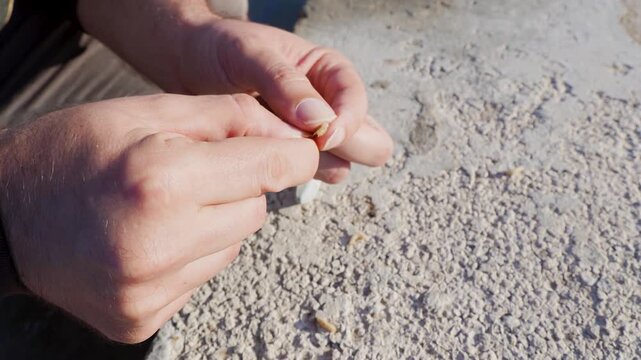 Putting worms as bait on fishing hook