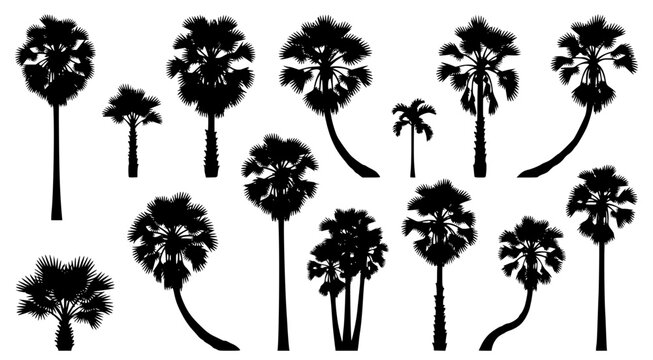 Assorted palm tree silhouettes for tropical themed creative visual communication designs