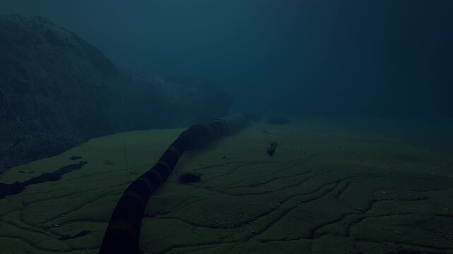 Submarine Cable on the Ocean Floor. Deep Sea Infrastructure. Submarine Cable Repeater under sea. Intercontinental networking communications cables.