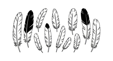 Black and white feather illustration set. © Bakso