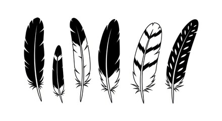 Black and white feather illustration set. © Bakso