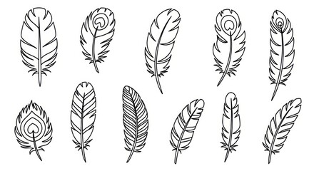 Black and white feather illustrations set. © Bakso