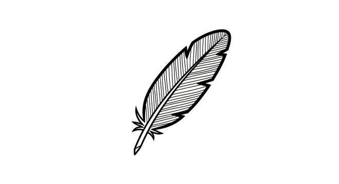 black and white feather illustration.