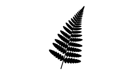 Black silhouette of a single fern leaf. © Bakso